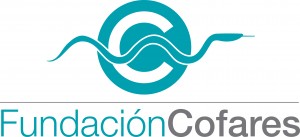 logo Fundacion